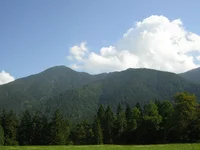 01.webp