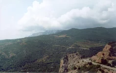 66.jpg