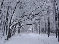 IMG_6202.webp