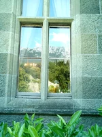 IMAG0108.webp