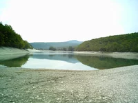 IMAG0315.webp
