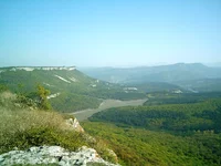 IMAG0342.webp
