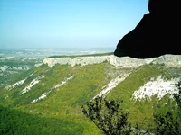 IMAG0378.webp