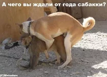 18577.webp