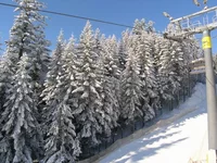 P1082064_resize.webp