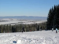 P1082077_resize.webp