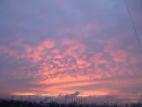 az.webp