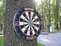 darts.webp
