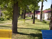forestpark2.webp