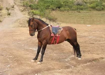 DSCF0135.webp