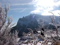 DSCF0316.webp