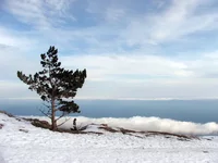 DSCF0366.webp