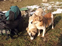 DSCF0355.webp
