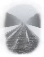 004..котрастн.увел 2.в.птиц.кантик толще.webp 004..котрастн.увел 2.в.птиц.кантик толще.webp