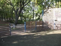 IMG_0081_изменить размер.webp