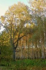 DSC_5666.webp