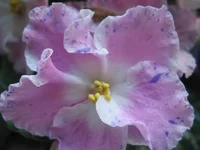 IMG_0106.webp