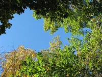 IMG_0166.webp