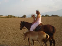  с моря 046.webp