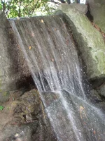 IMG (82).webp