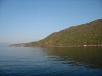 IMG (7)+.webp