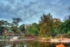 hdr05.webp