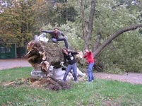 PA053221.webp