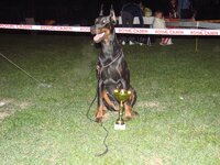 DSC00395.JPG