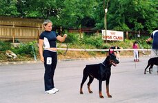 img101.jpg