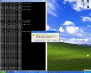 ping.webp
