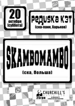 SkaParty-500.webp