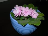 DSCN2701.webp