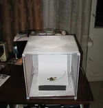 IMG_1560web.webp