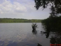 DSC00329.webp