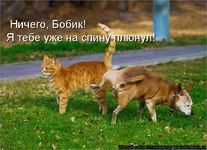 881115.webp