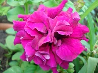 DSC05234.webp