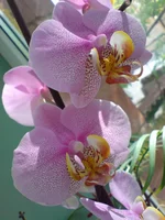 DSC02807.jpg