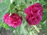 11.webp