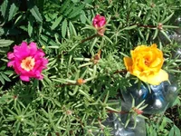 11.webp