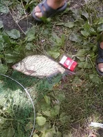 -0048д.webp