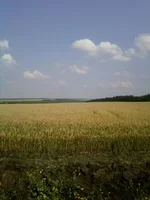 -0051.webp