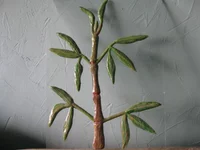 IMG_1400.webp