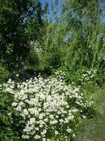 IMG_1177.webp