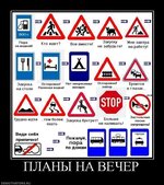 238640_planyi-na-vecher[1].jpg