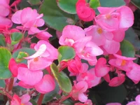 003.webp