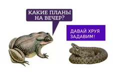 4dgdfg.jpg