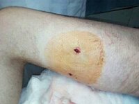 cd7haf.jpg