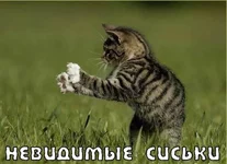 88358.webp