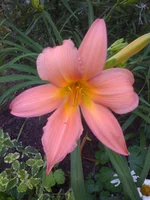 010 (4).webp