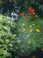 055.webp